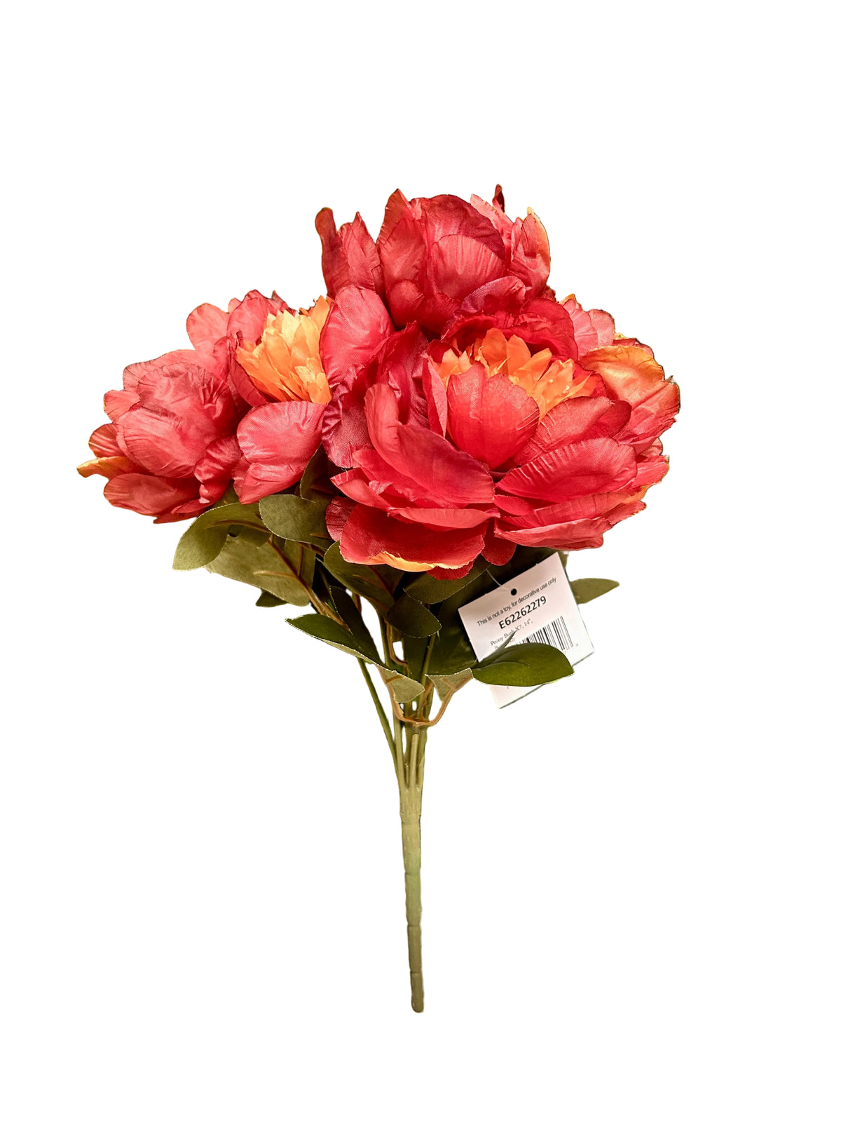14 Inch Burgundy Peony Bush