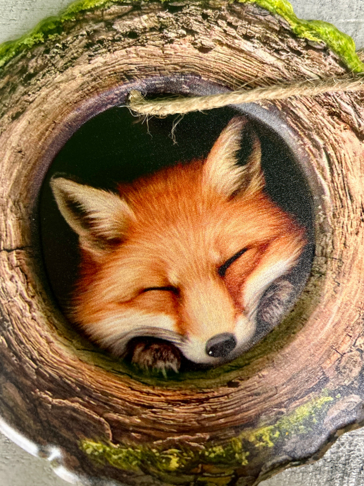 5.25 Inch Fox In A Tree Sign