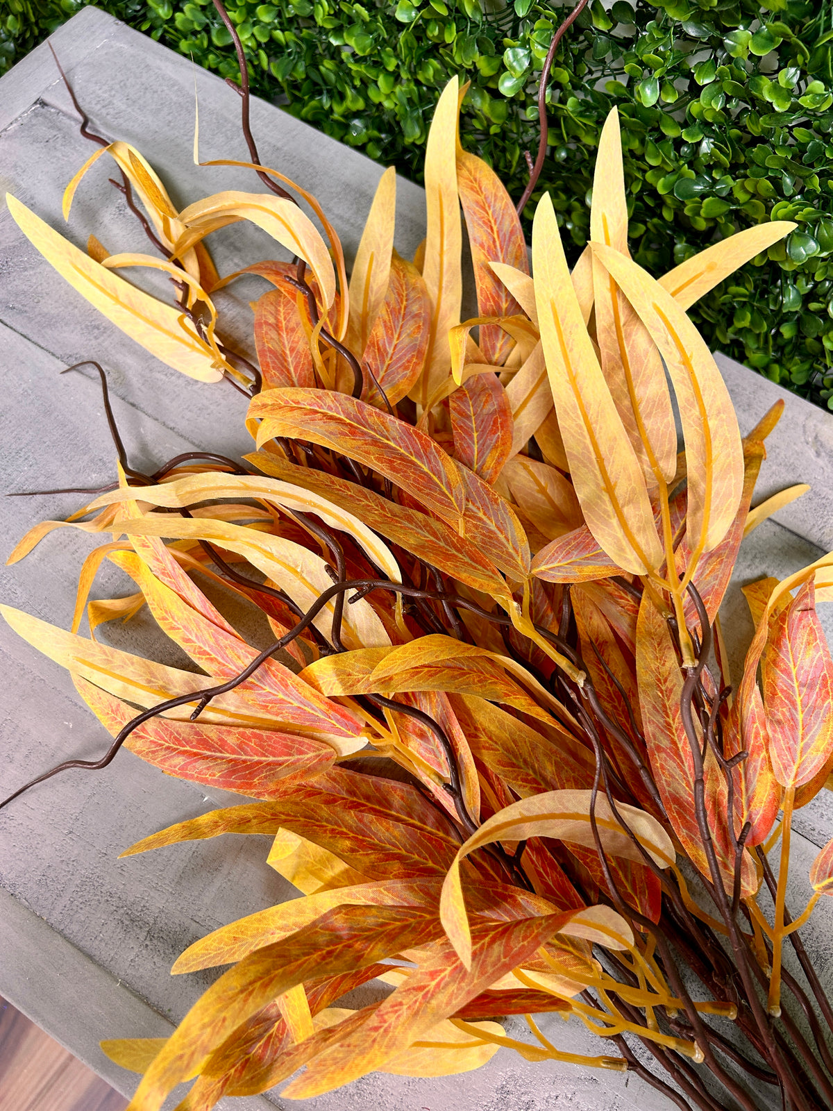 29.5 Inch Long Eucalyptus Leaf Bush