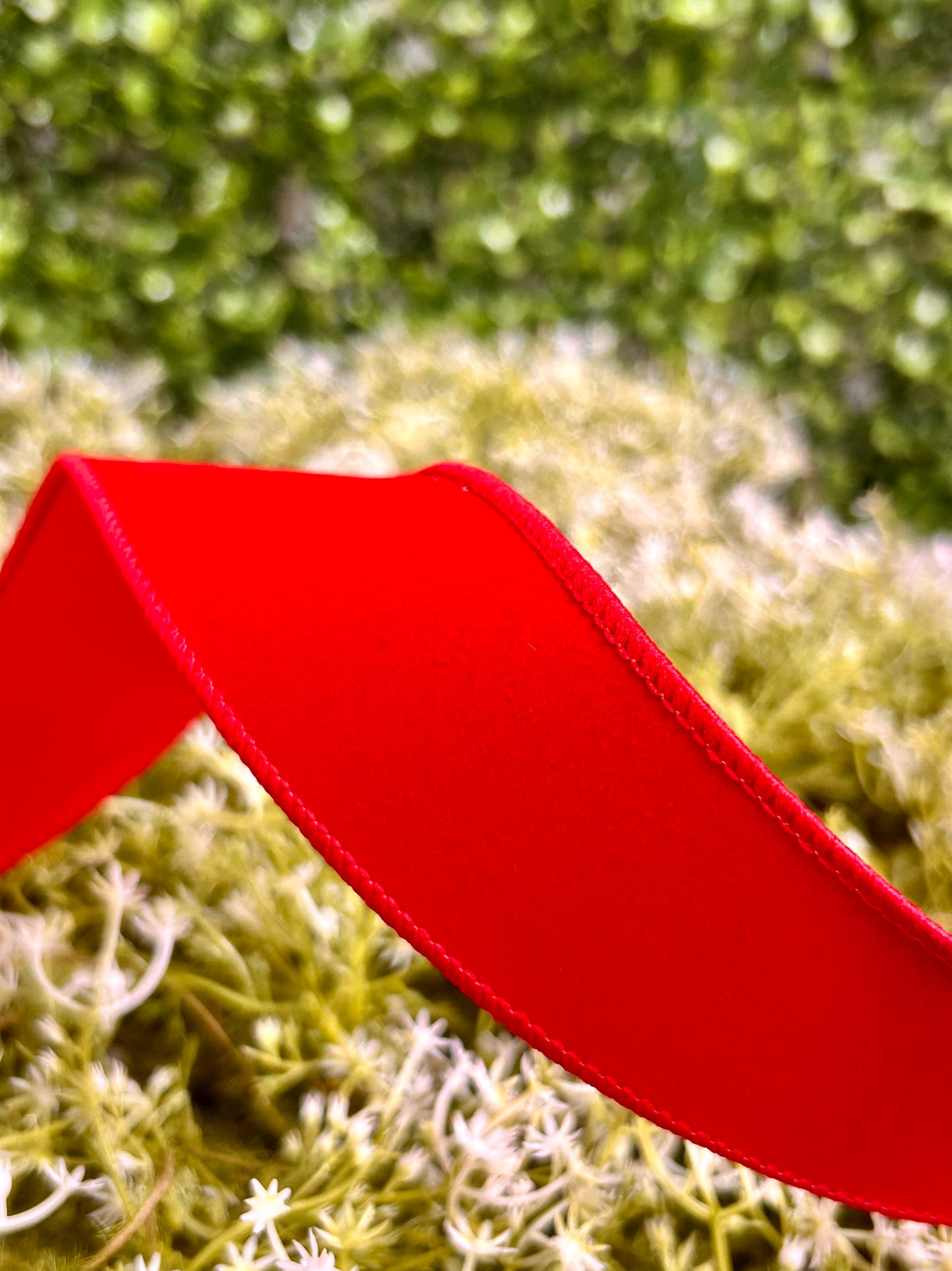 1.5 Inch By 10 Yard Red Indoor Velvet Ribbon