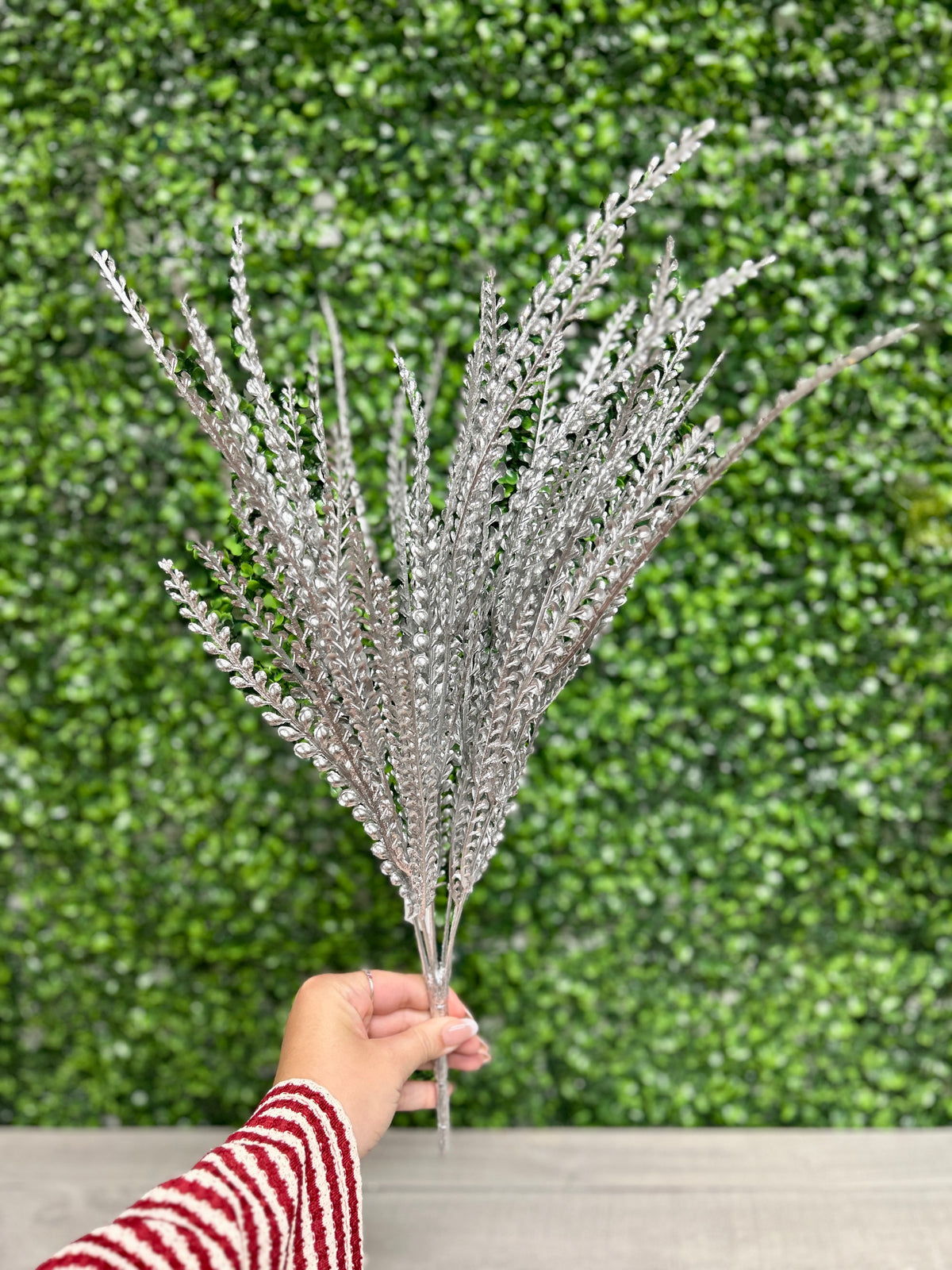 21 Inch Silver Fern Bush