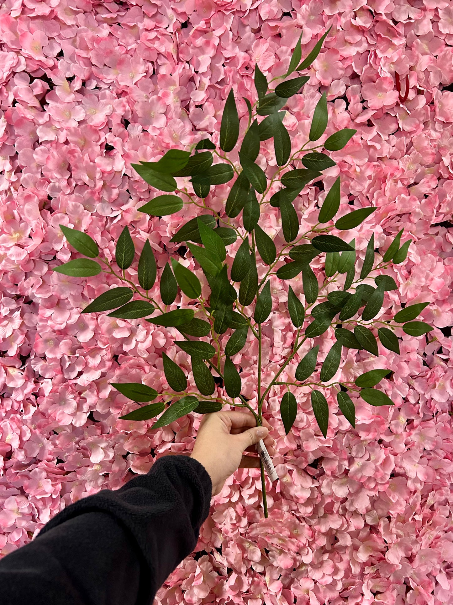 20 Inch Green Wisteria Leaf
