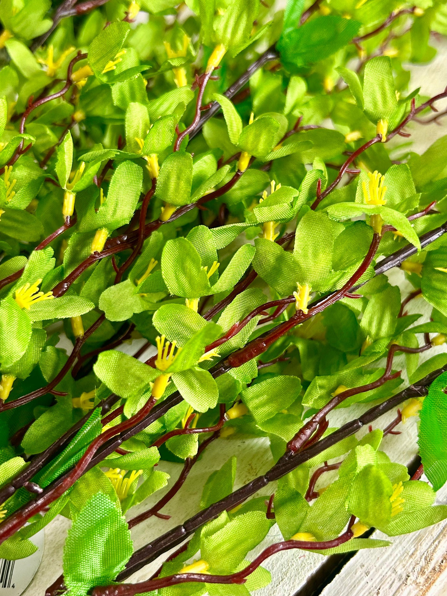24 Inch Green Star Blossom Bush