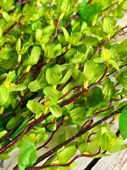 24 Inch Green Star Blossom Bush