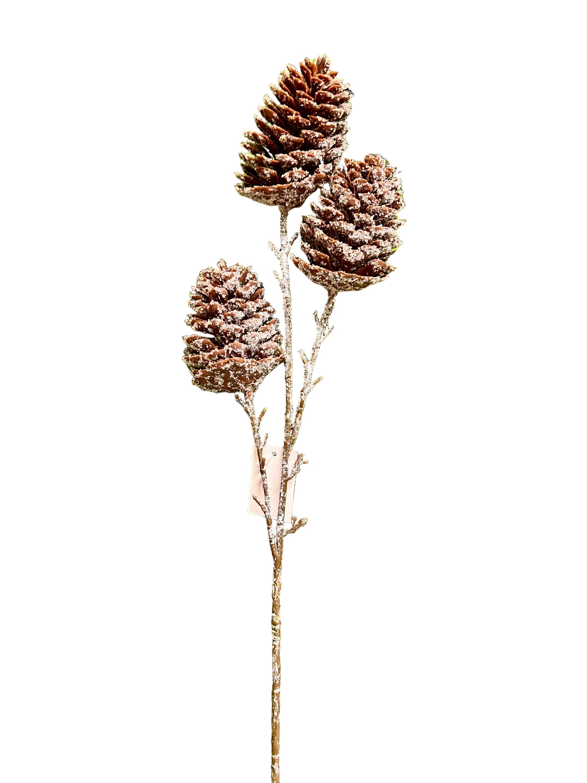 24 Inch Pinecone With Snow Spray