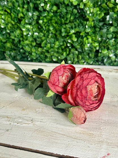 23 Inch Burgundy Caressed Sunrise Triple Peony Spray