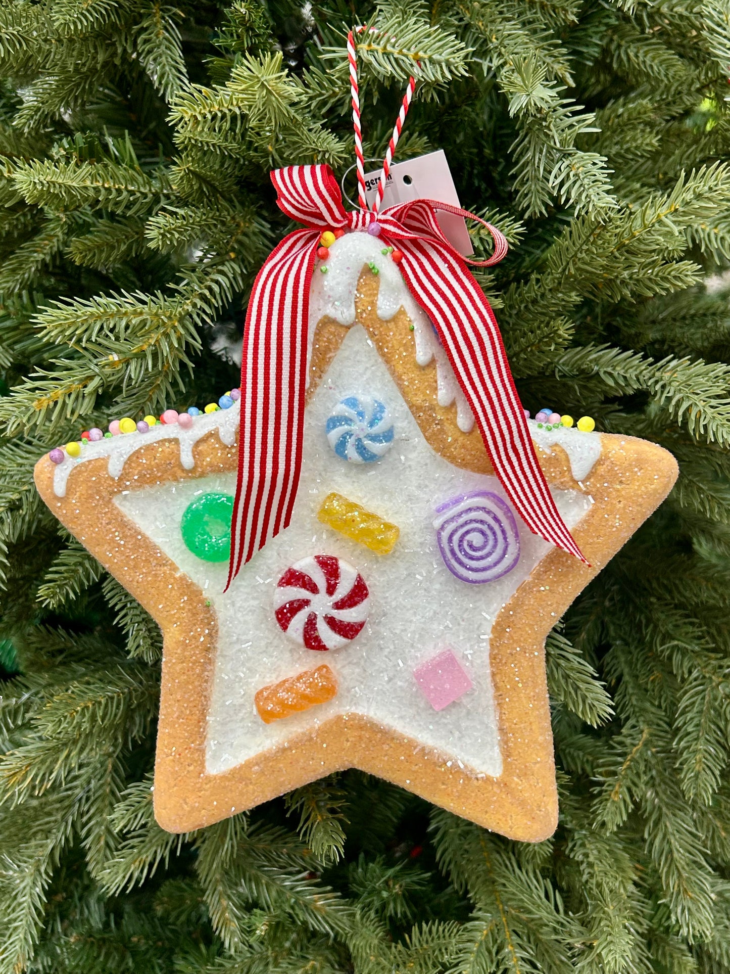 9.25 Inch Holiday Gingerbread Ornament Three Styles