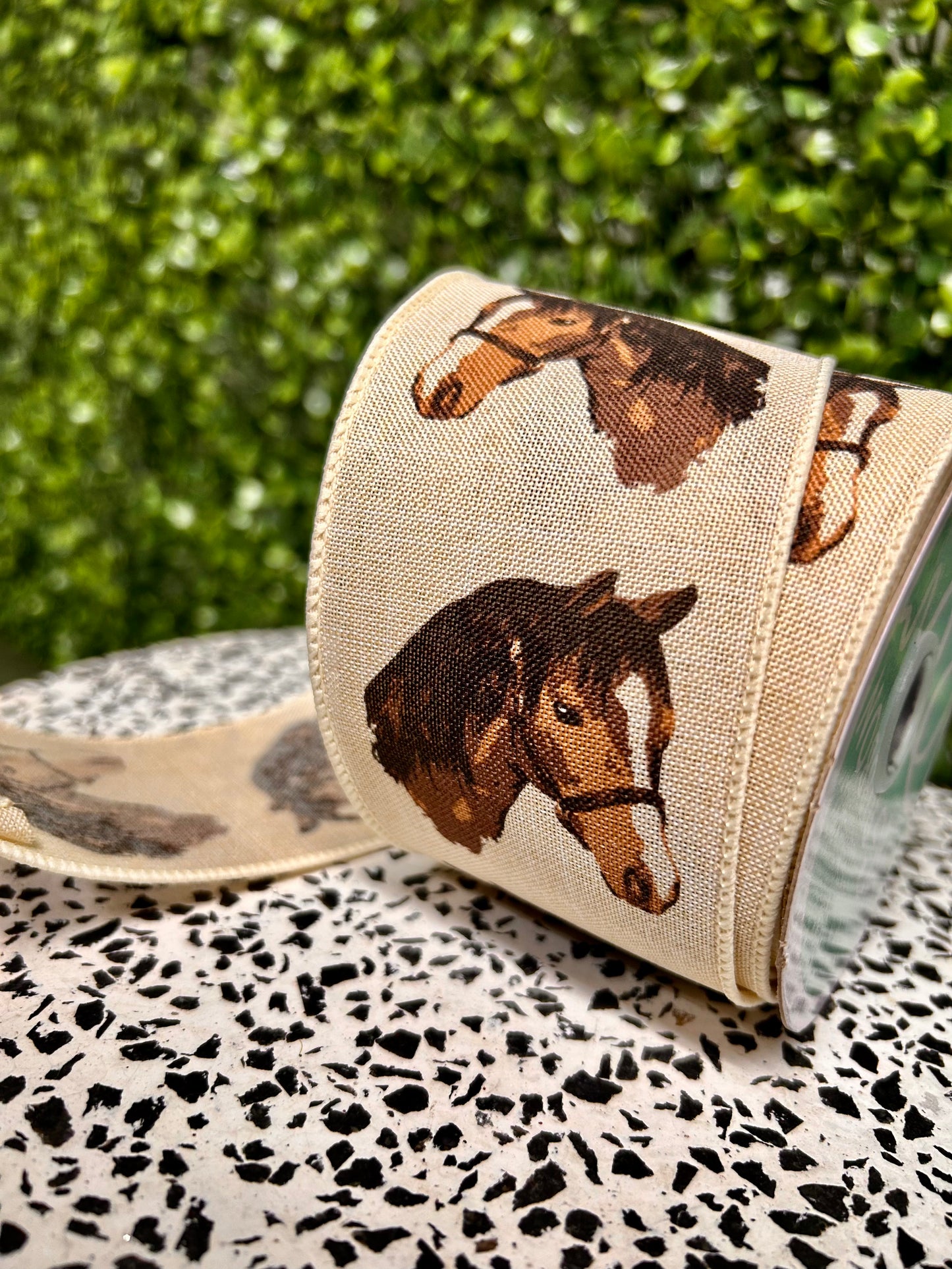 2.5 Inch By 10 Yard Cream And Brown Horse Head On Royal Ribbon