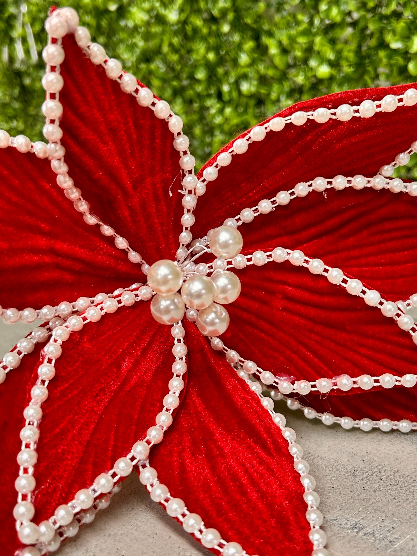 22 Inch Red Velvet Pearl Poinsettia