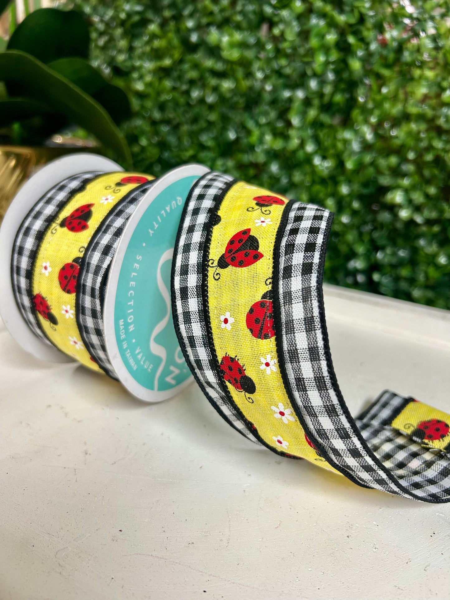 2.5 Inch By 10 Yard Ladybug On Check Ribbon