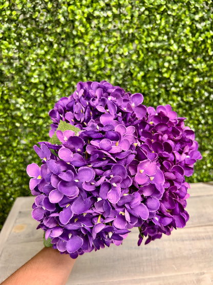 18 Inch Purple Hydrangea Bush