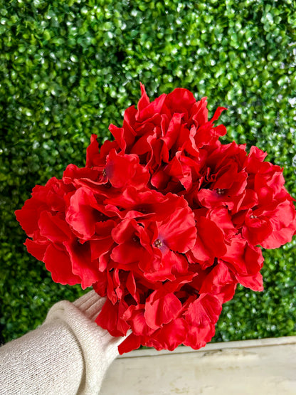 19 Inch Red Cypress Garden Hydrangea Bush