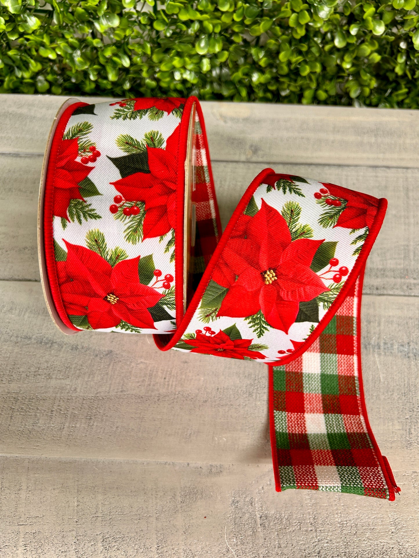 2.5 Inch By 10 Yard Poinsettia With Red And Green Check Backing Ribbon