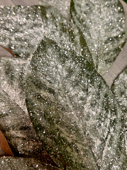 32 Inch Magnolia Snow Leaf Spray
