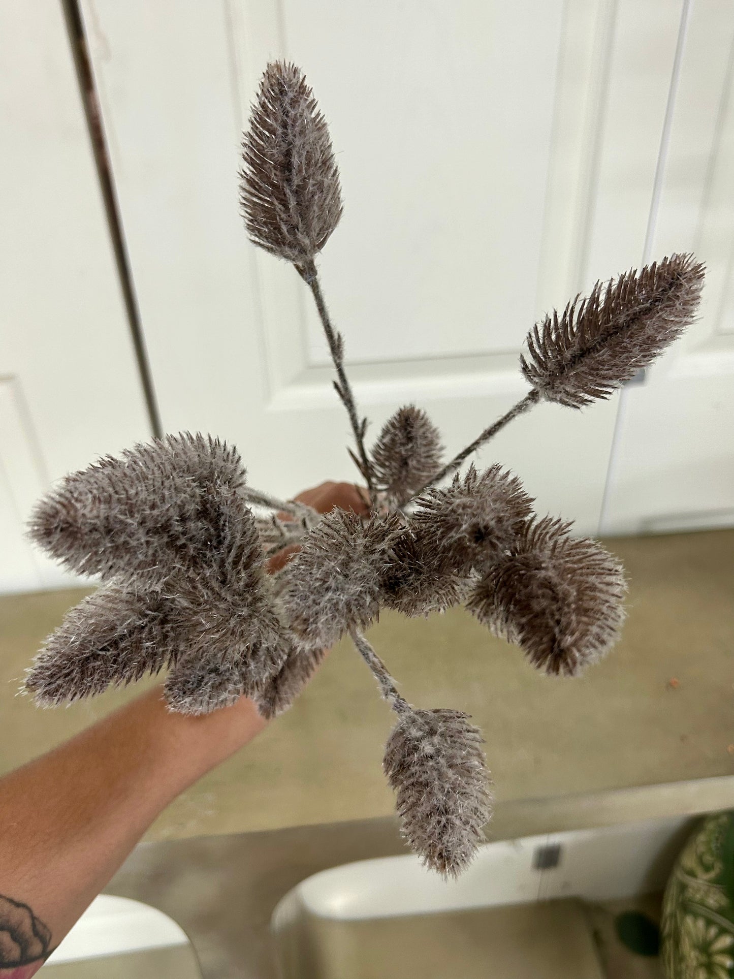 28 Inch Coffee Mini Plume Spray