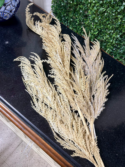 63 Inch Biege Pampas Grass Plume Spray