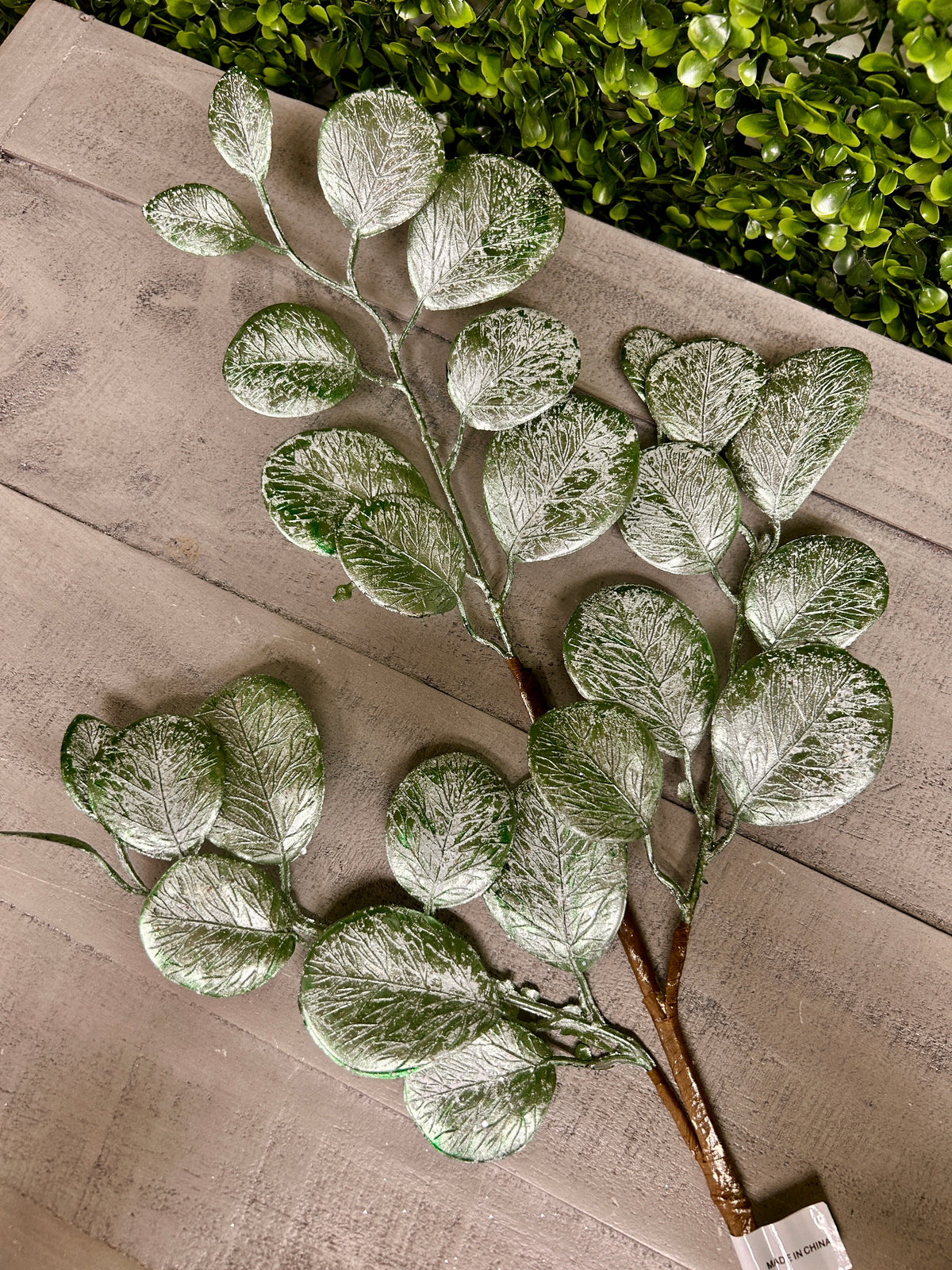 24 Inch Light Blue Eucalyptus Leaf Spray With Frost