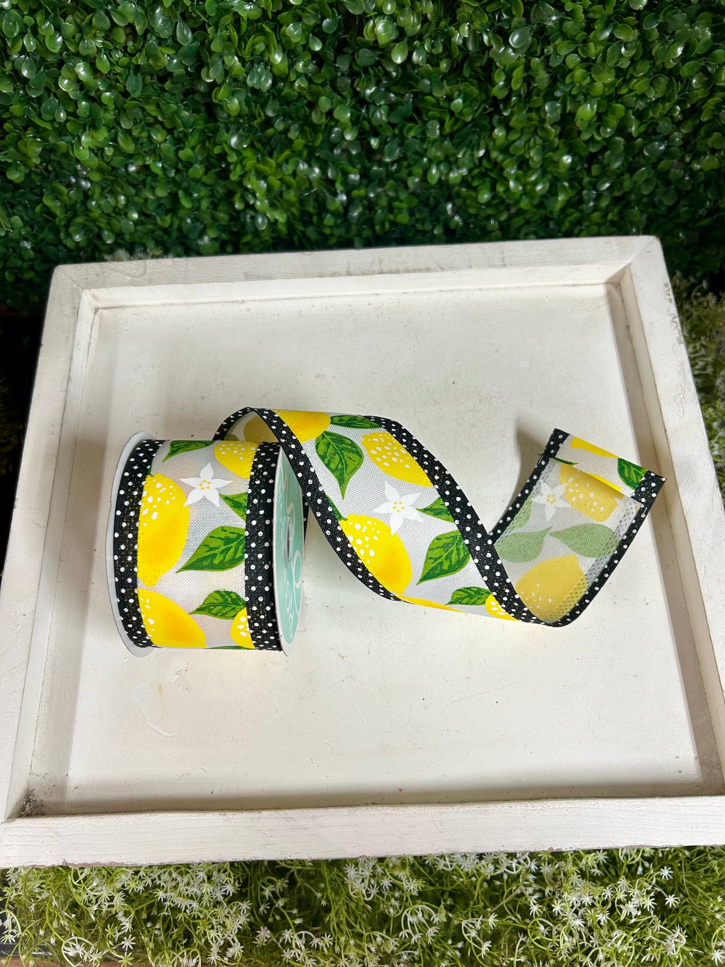 2.5 Inch By 10 Yard White Yellow And Black Lemons And Swiss Dots