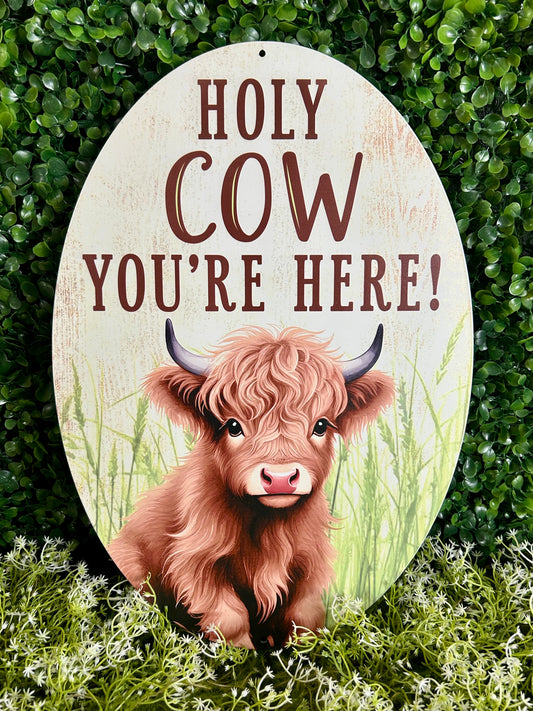 15 Inch Holy Cow Oval Sign
