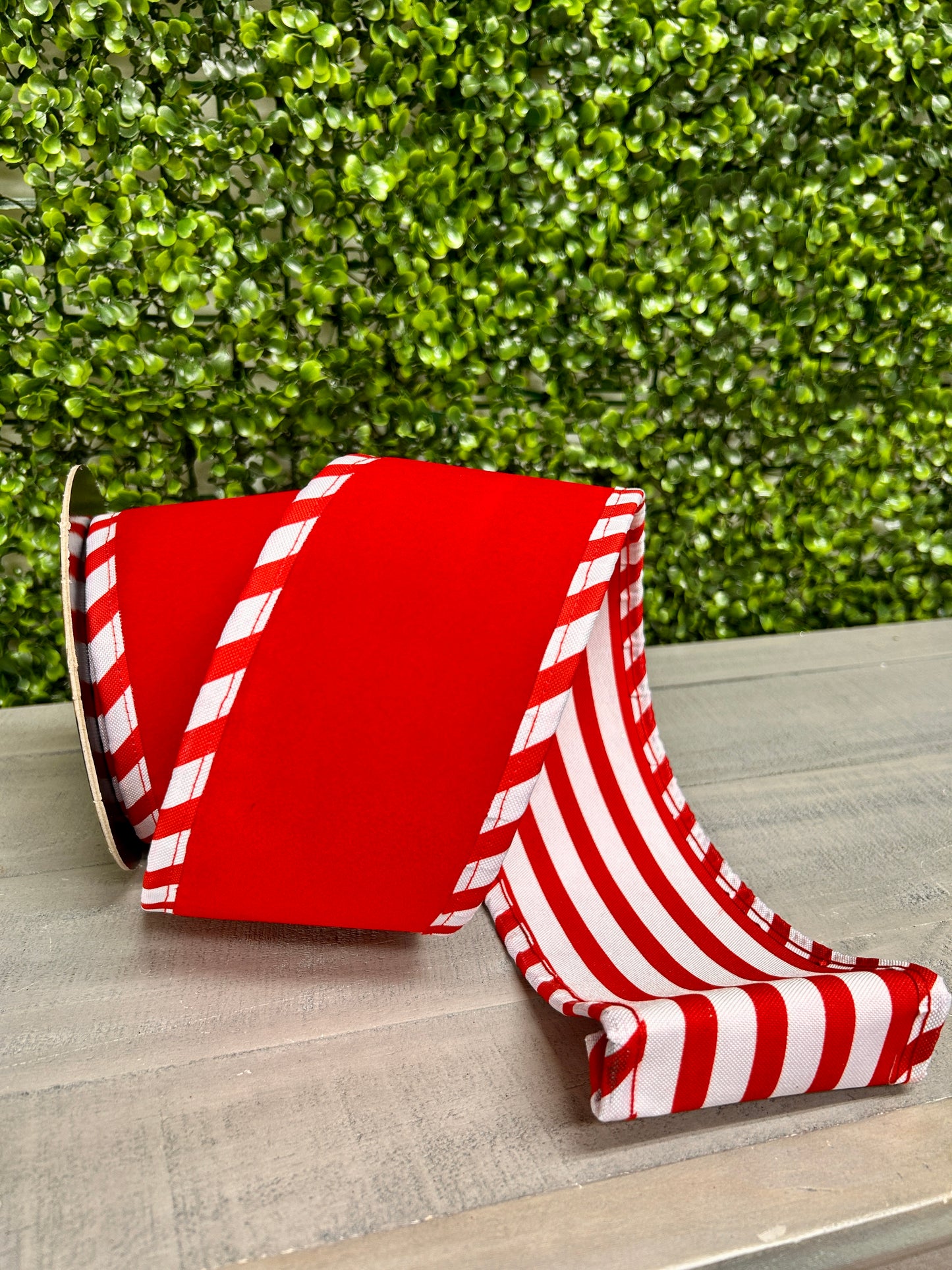 4 Inch By 5 Yard Red Velvet With White Red Cabana Sripe Ribbon