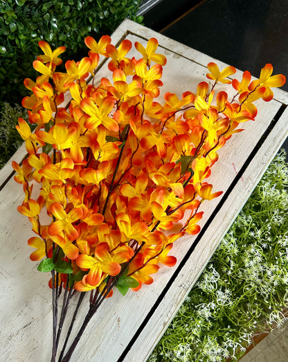24 Inch Orange Tweedia Bush