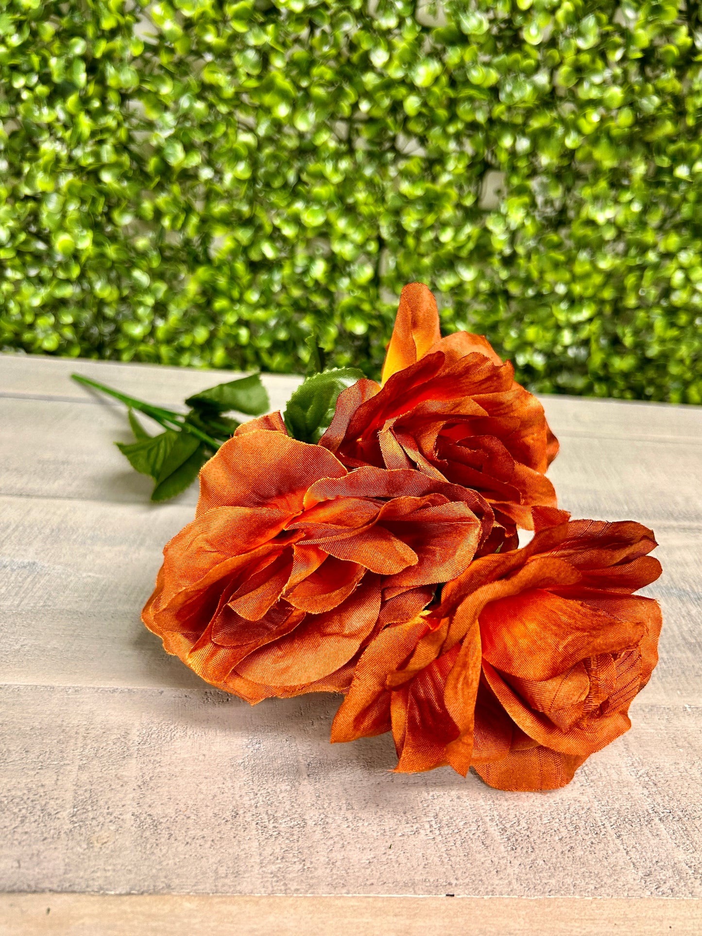 15 Inch Brown Rose Bush