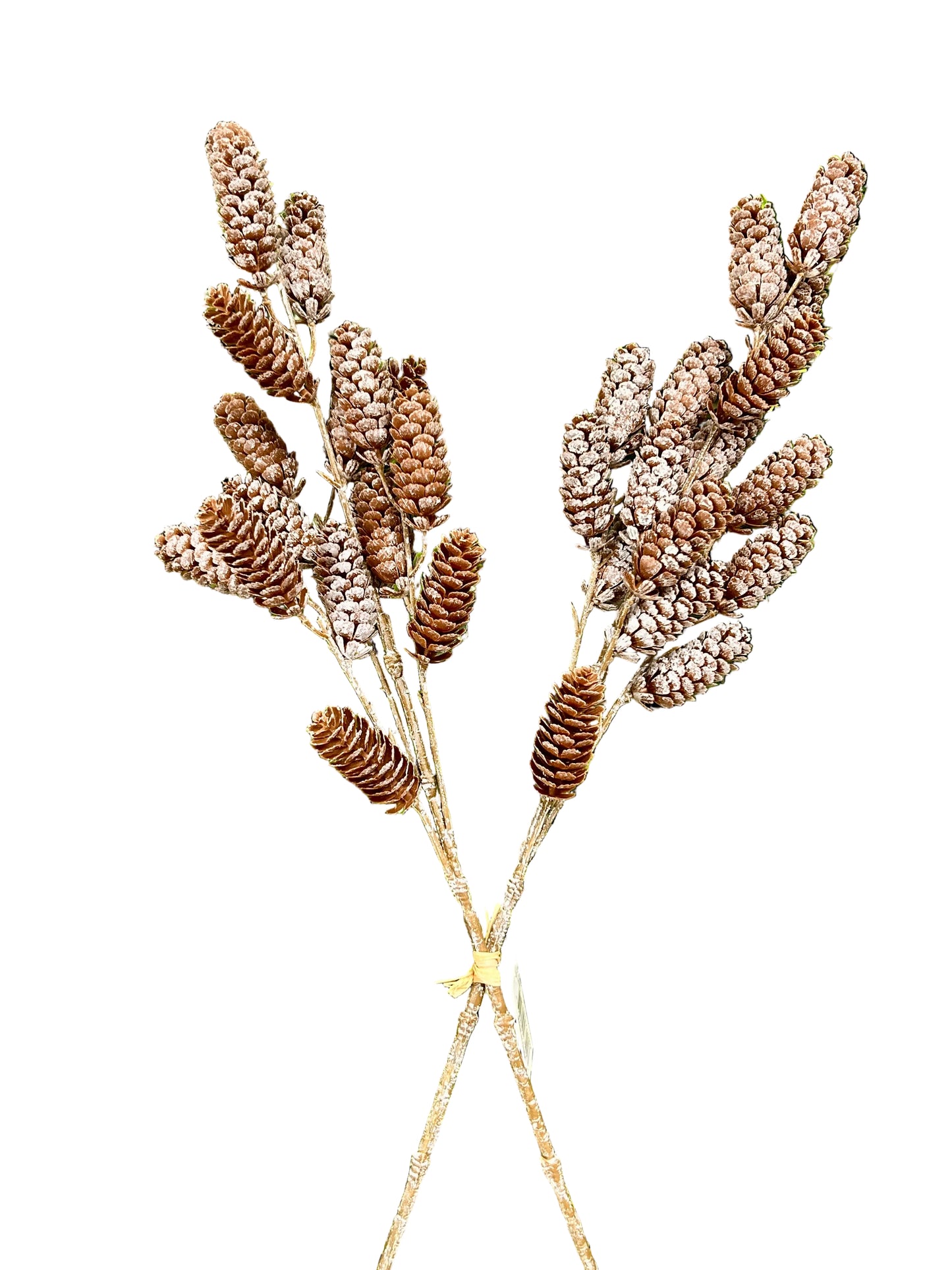 26 Inch Pinecone With Ice Bundle