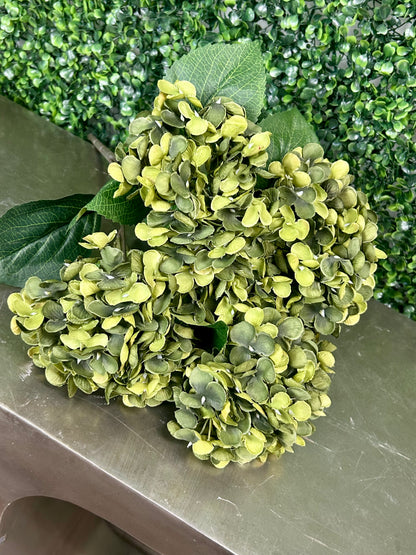 16 Inch Dark Green Hydrangea Bush