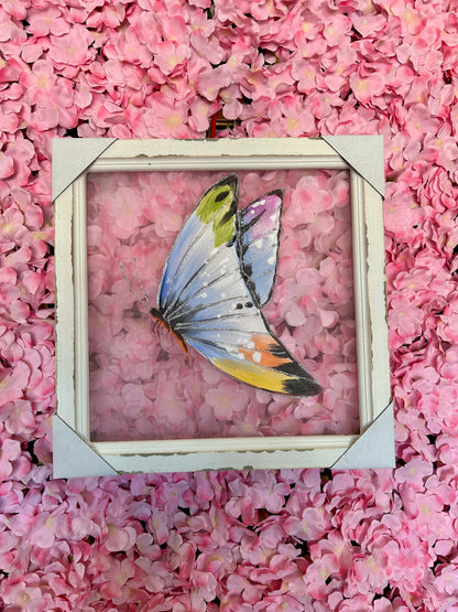 16 X 16 Inch Painted Butterfly Screen Four Styles