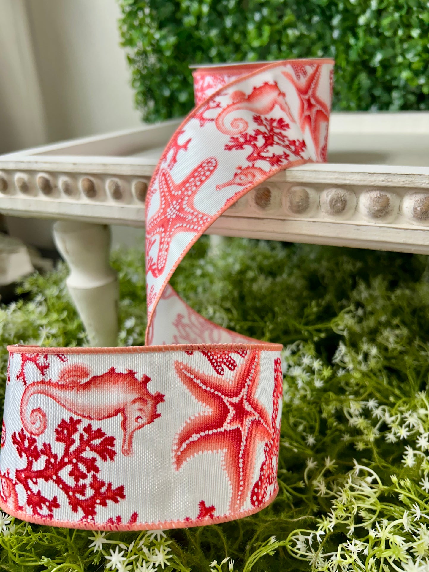 2.5 Inch By 10 Yard Coral Seahorse And Starfish Ribbon