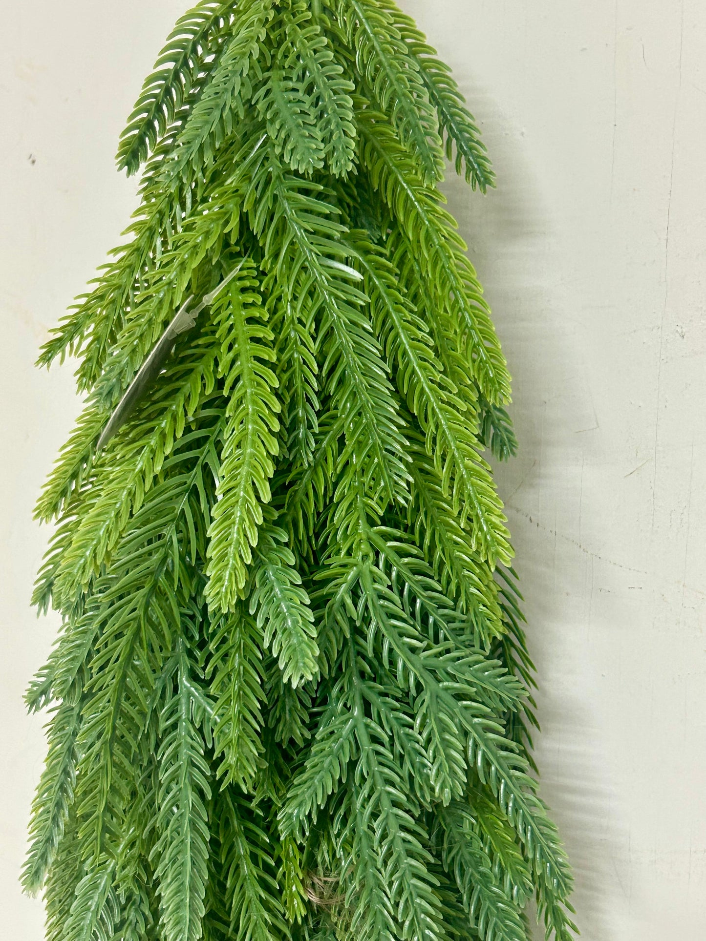 21 Inch Fresh Touch Norfolk Pine Drop
