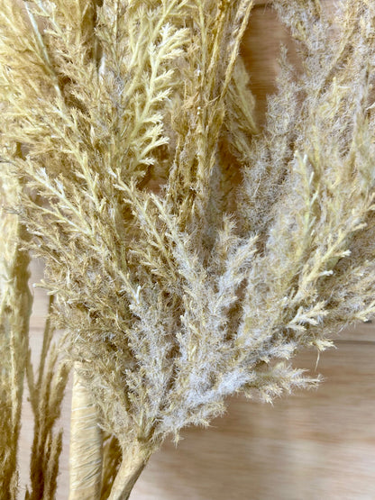 63 Inch Biege Pampas Grass Plume Spray