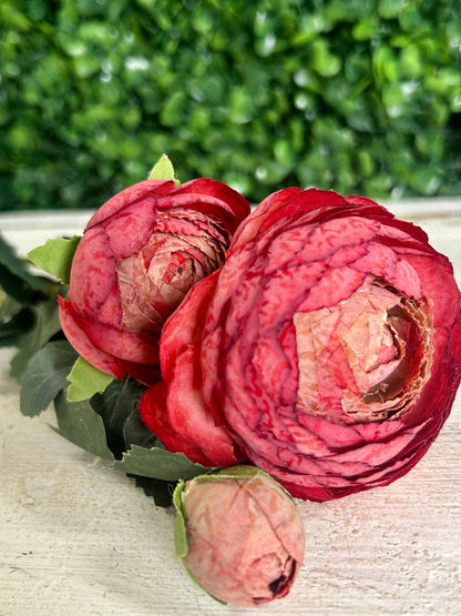 23 Inch Burgundy Caressed Sunrise Triple Peony Spray