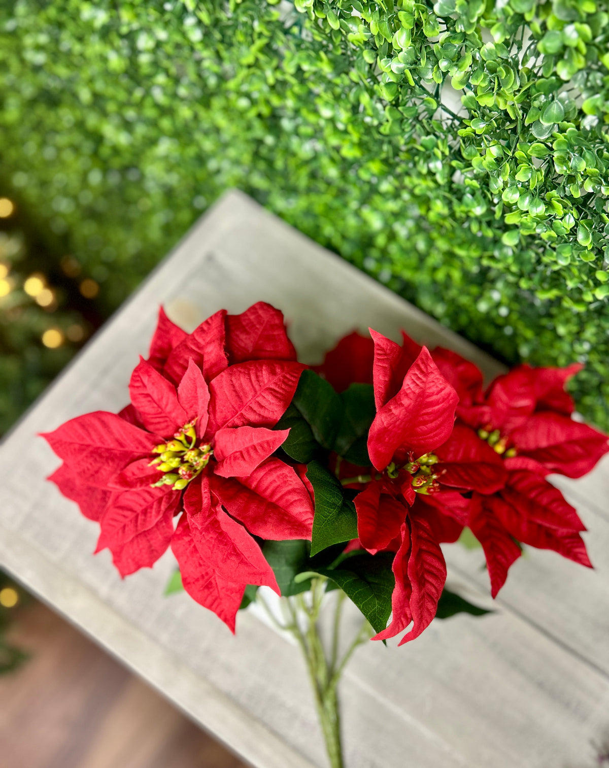 16 Inch Red Poinsettia Bush