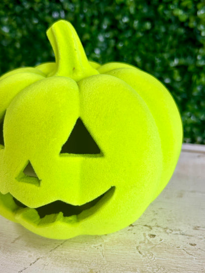 6 Inch Lighted Resin Flocked Halloween Pumpkin Three Styles