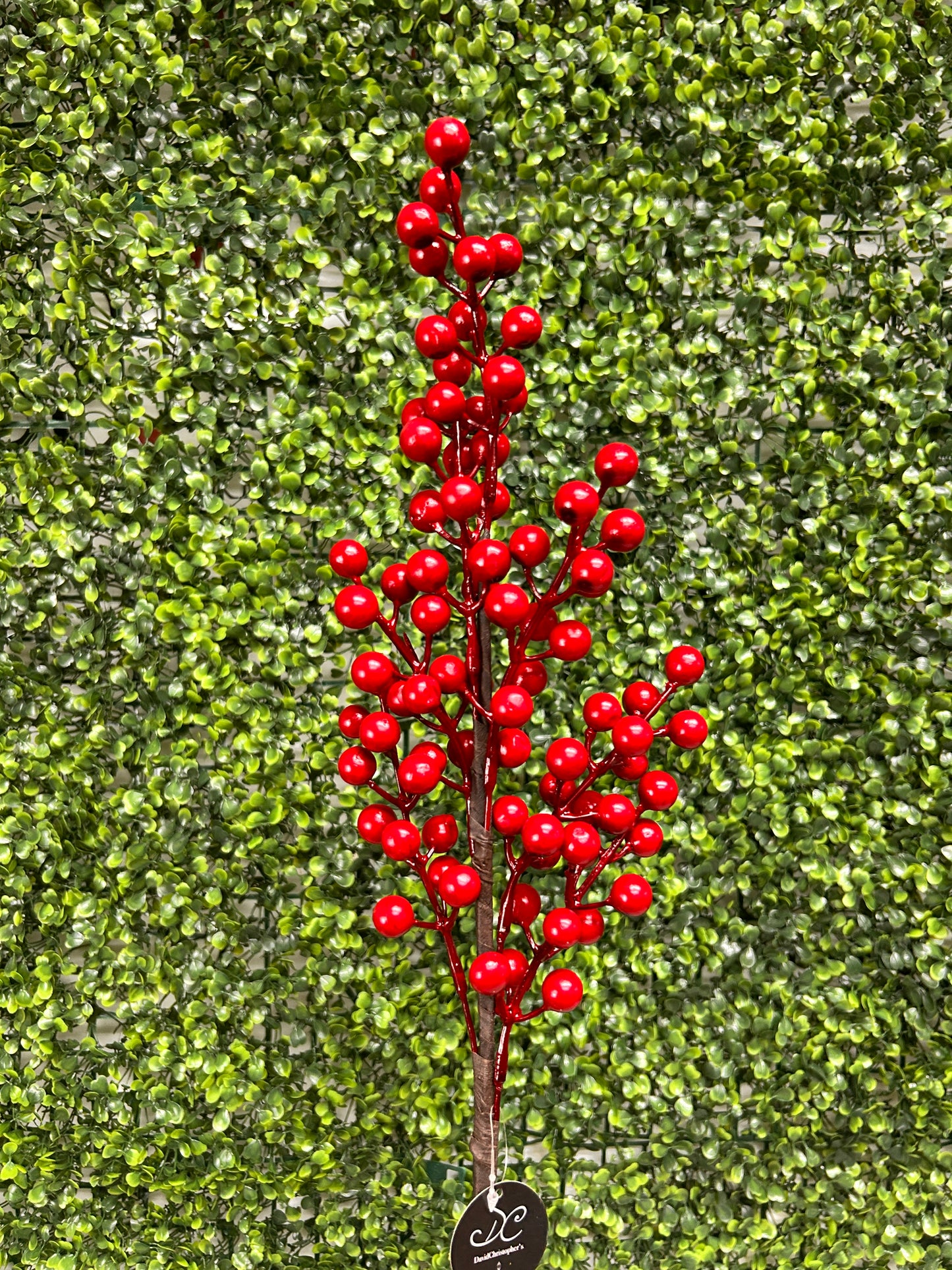 24 Inch Red Goose Berry Stem