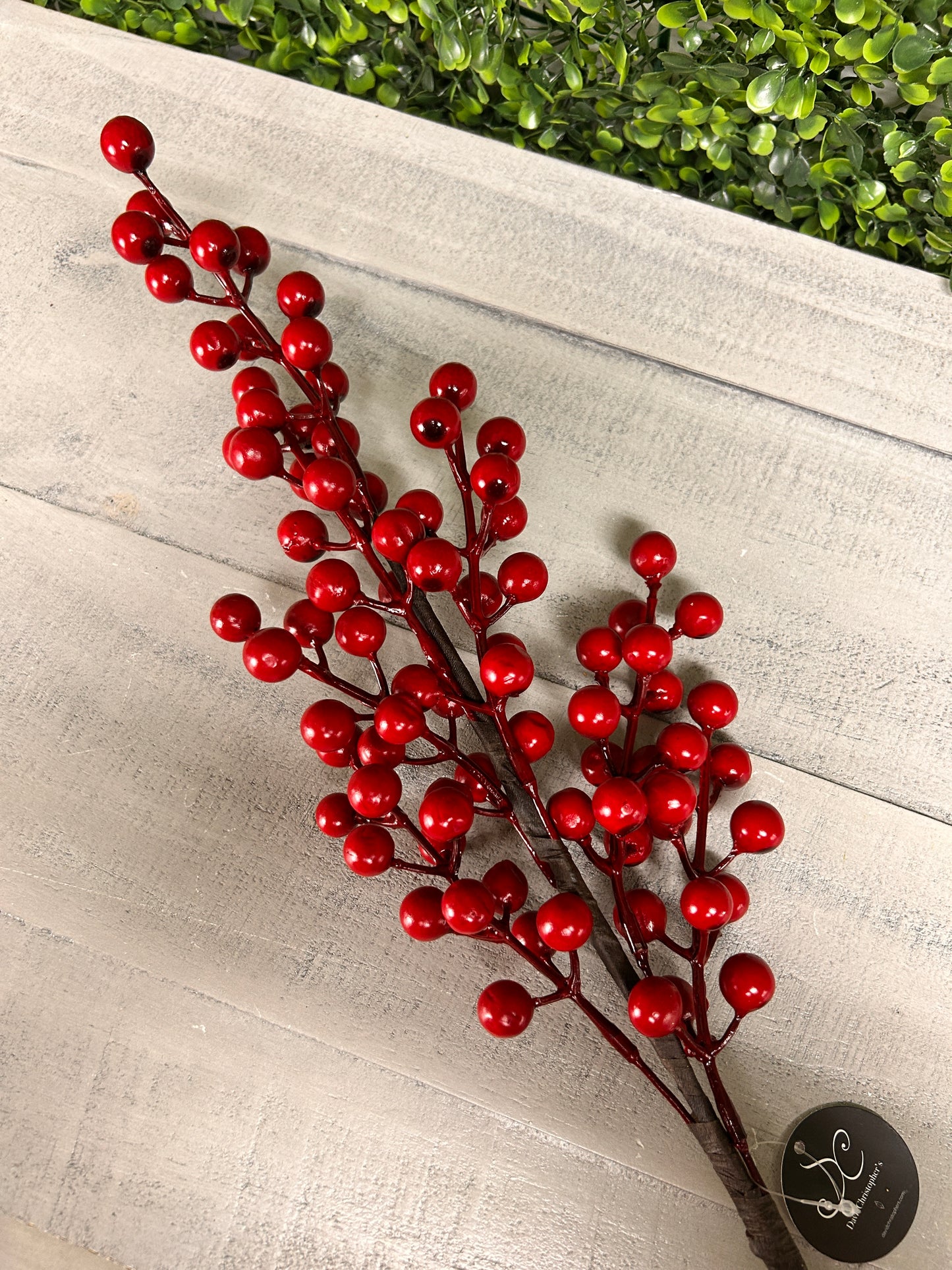 24 Inch Red Goose Berry Stem