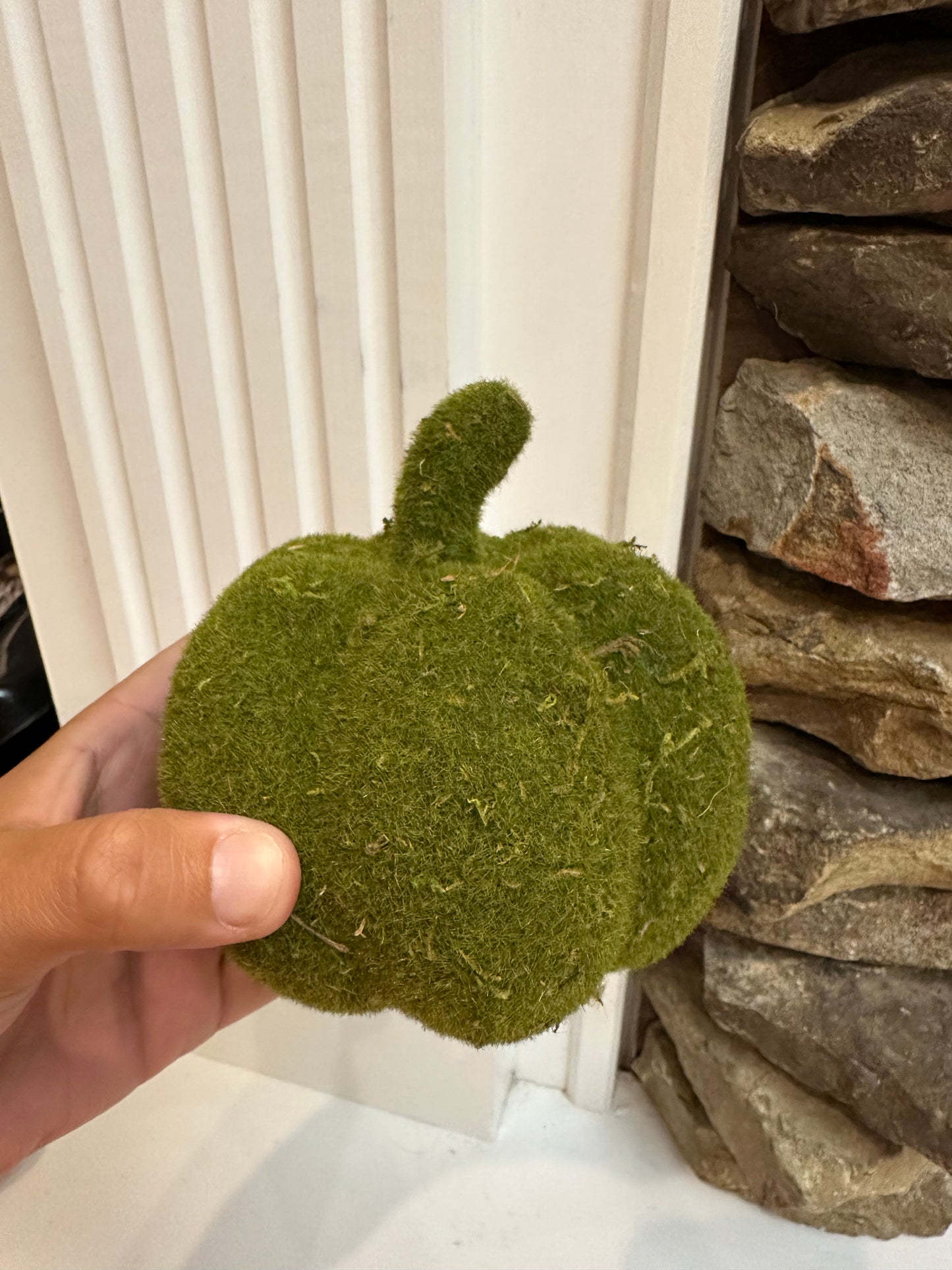 Green Moss Sitting Pumpkin