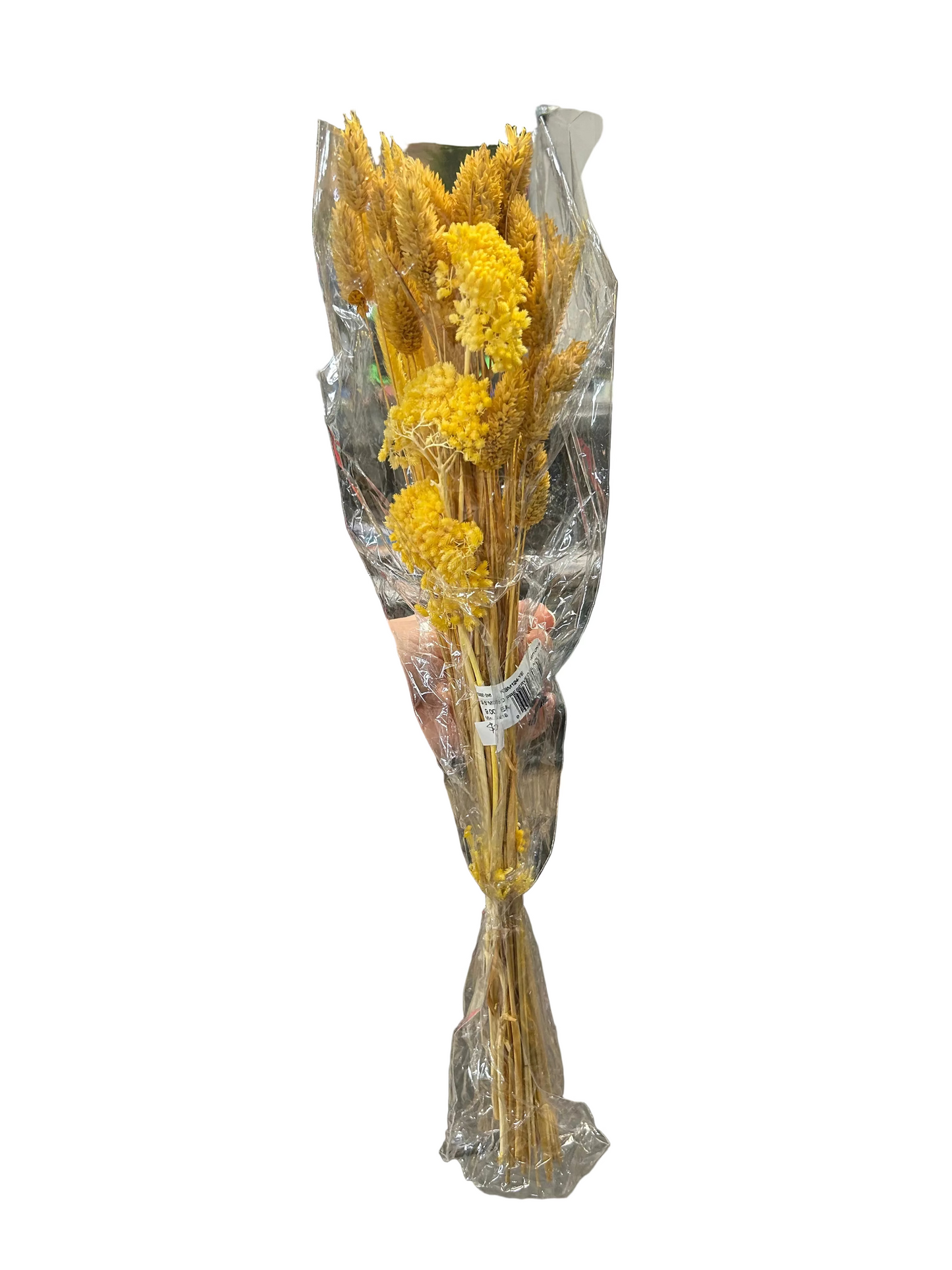 23.5 Yellow Mixed Preserved Bundle