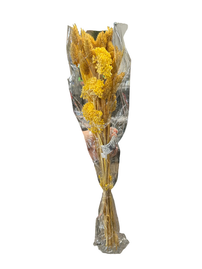 23.5 Yellow Mixed Preserved Bundle