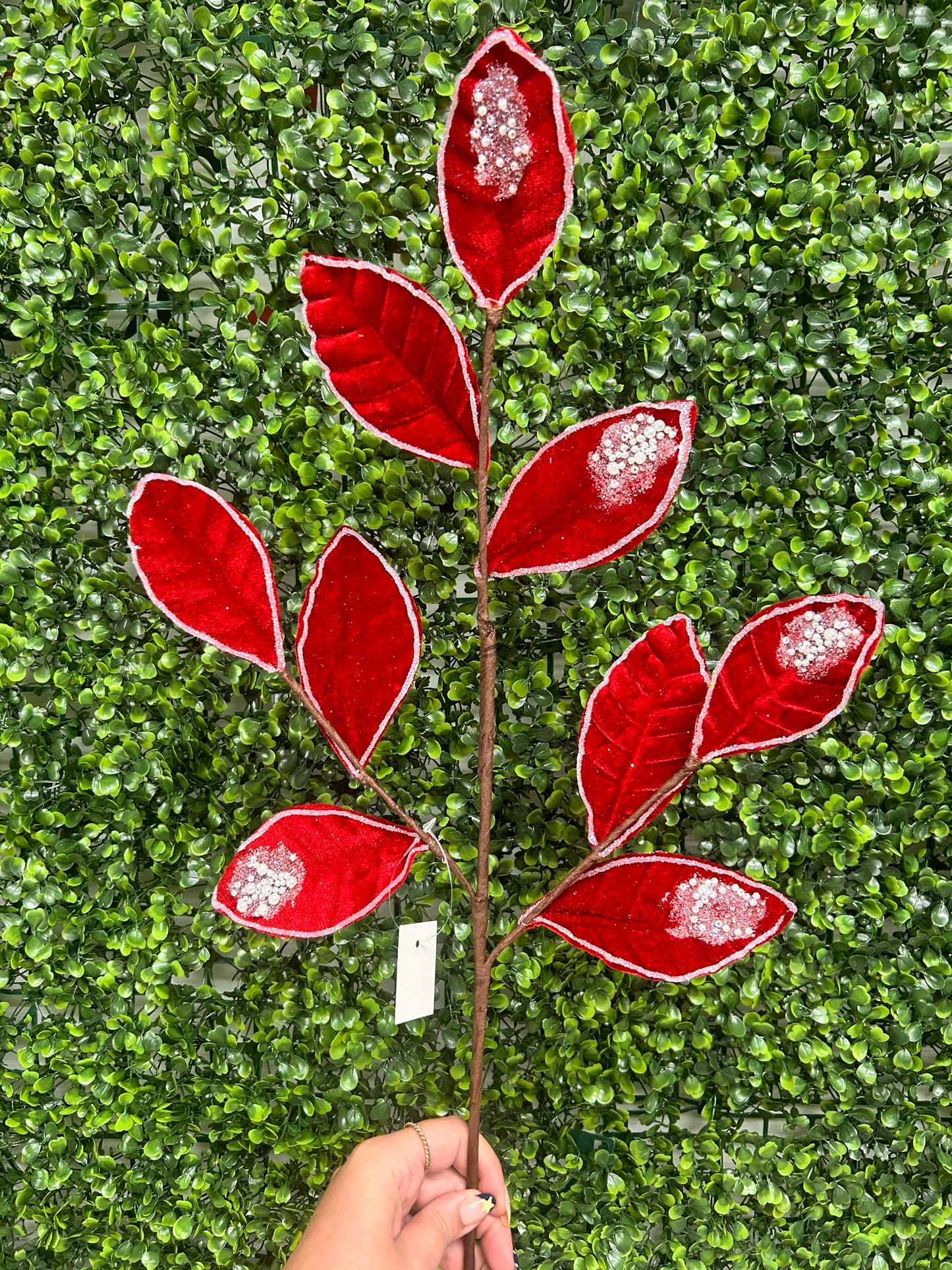 27 Inch Red Pearl Velvet And Glitter Magnolia Leaf Spray