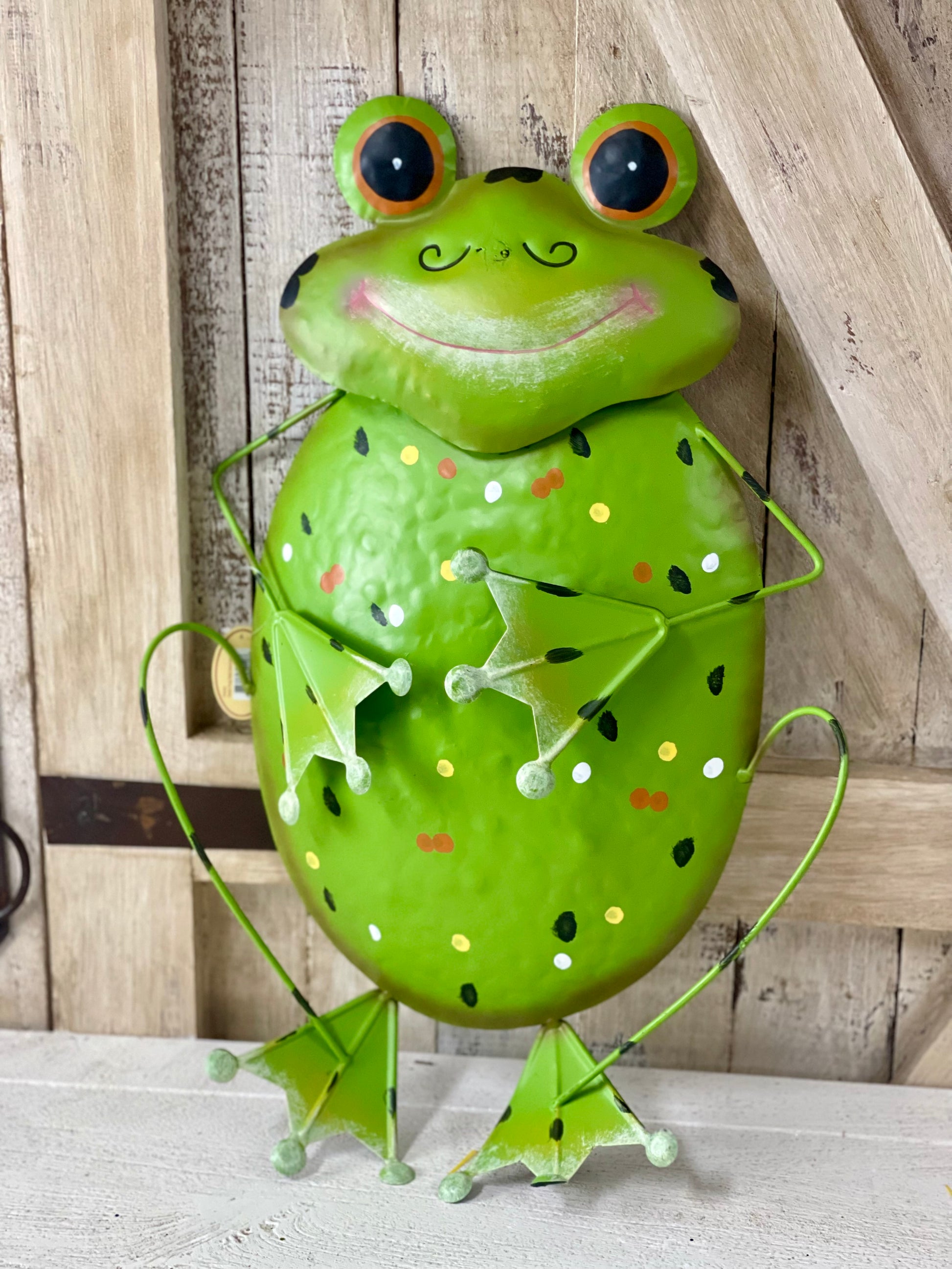 20 Inch Metal Frog Wall Decor – TMIGifts