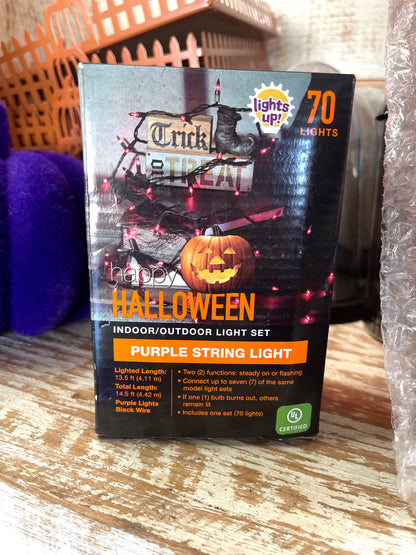 Halloween Indoor and Outdoor Purple String Light