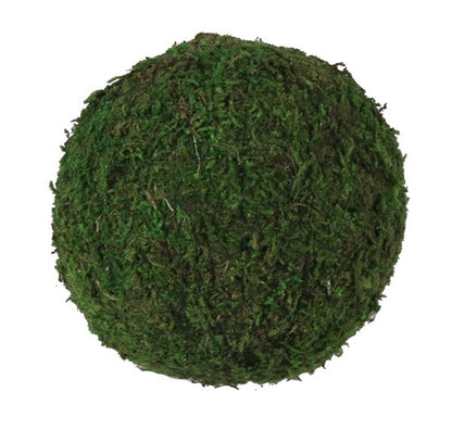 6 Inch Moss Ball