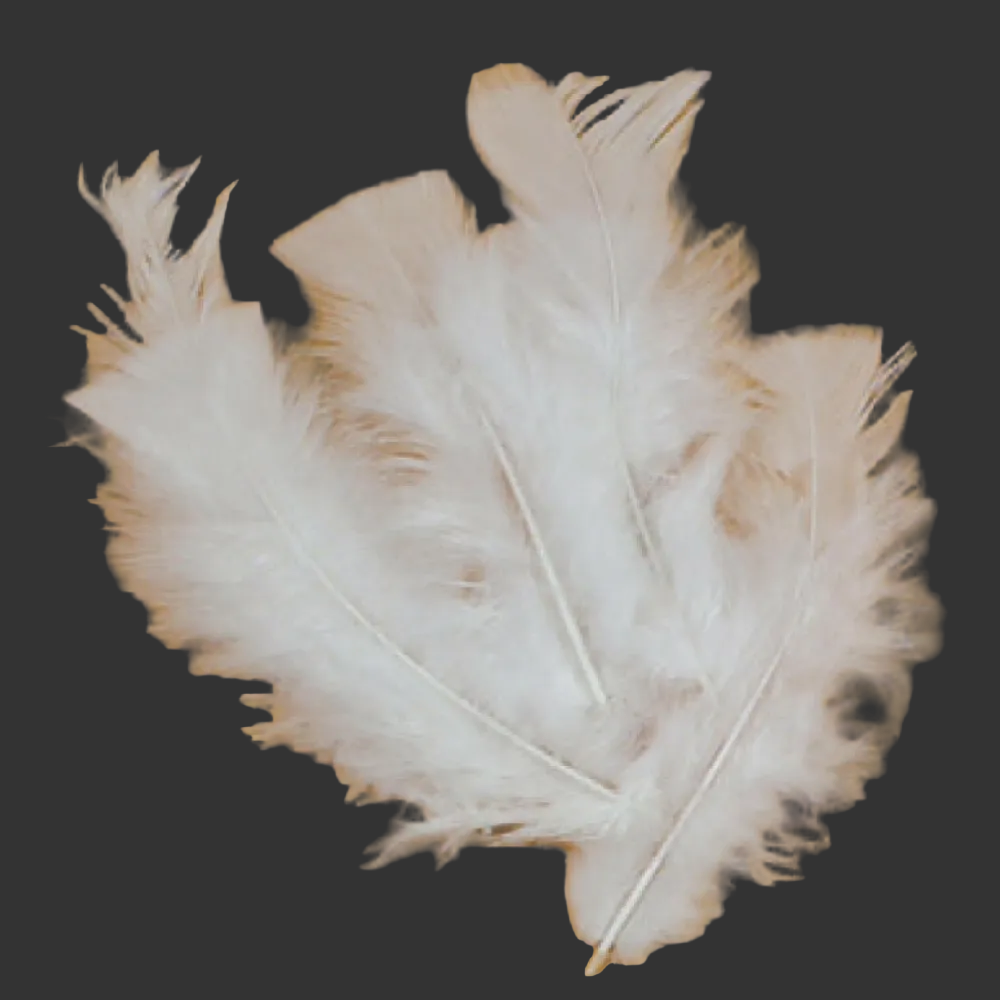 All Purpose Feathers