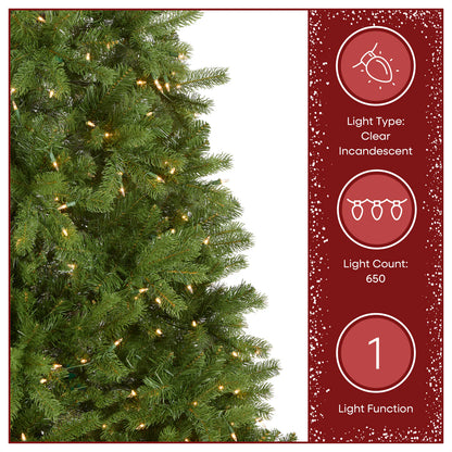 National Tree Company 6.5 Foot Pre-Lit Downswept Douglas Fir Tree Open Box