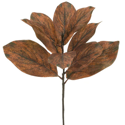 25 Inch Brown Magnolia Leaf Spray
