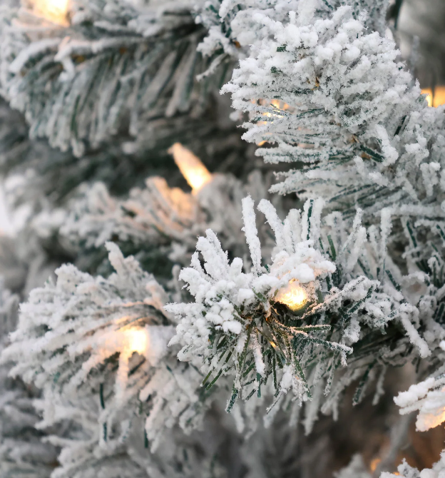 National Tree Company 6 ft. Pre-Lit Acacia Flocked Tree with Clear Lights Open Box