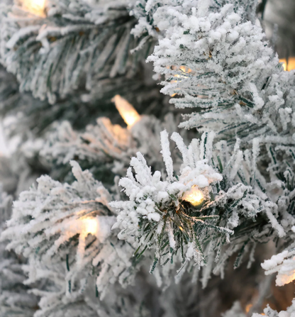 National Tree Company 6 ft. Pre-Lit Acacia Flocked Tree with Clear Lights Open Box