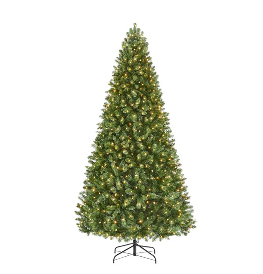 7.5 Foot Fenwick Pine Microdot Tree T29
